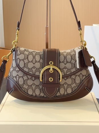 Dior Saddle Bag: 2024 Designer Saddle Brown Handbag 🌟